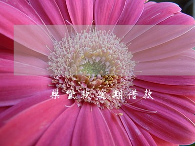 乐贷款逾期借款 乐贷款逾期借款