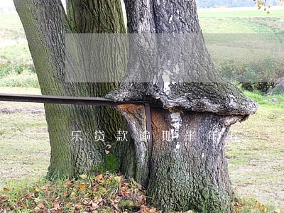 乐贷款逾期半年6 乐贷款逾期半年6