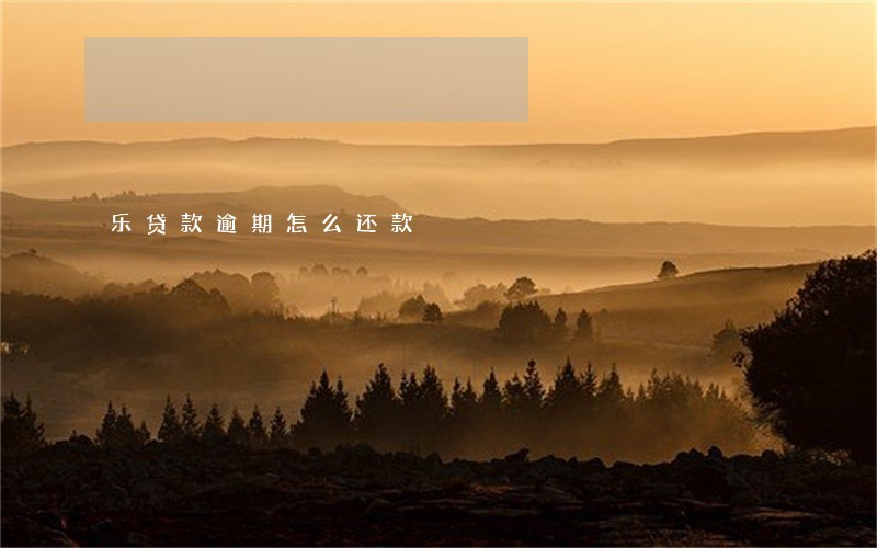 乐贷款逾期怎么还款
