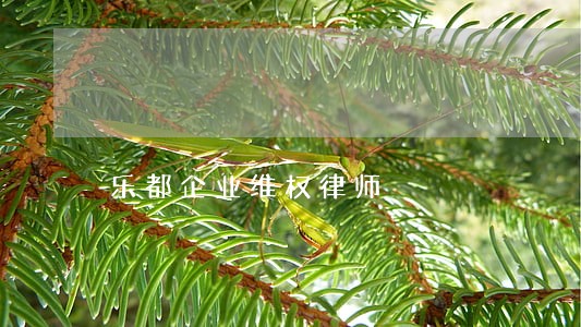 乐都企业维权律师 乐都企业维权律师