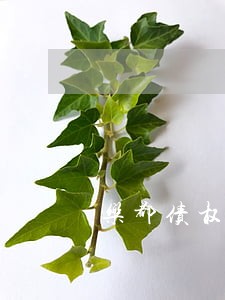 乐都债权转让纠纷律师 乐都债权转让纠纷律师