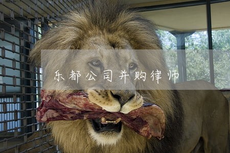 乐都公司并购律师 乐都公司并购律师
