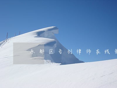 乐都区专利律师在线免费咨询