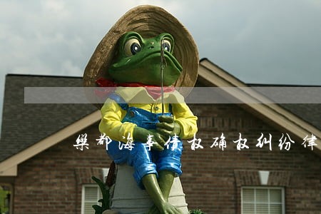 乐都海事债权确权纠纷律师 乐都海事债权确权纠纷律师