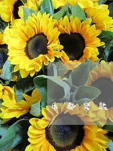 乐都贷款纠纷律师 乐都贷款纠纷律师