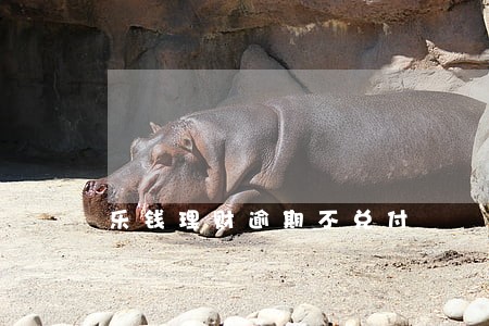 乐钱理财逾期不兑付 乐钱理财逾期不兑付