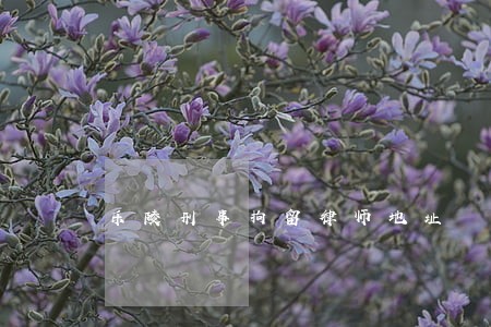 乐陵刑事拘留律师地址