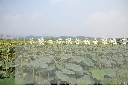 乐陵工作报告获全票通过