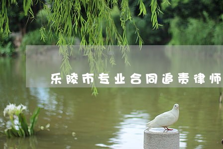 乐陵市专业合同追责律师 乐陵市专业合同追责律师