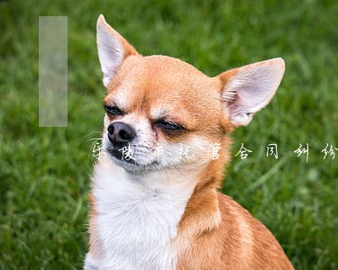 乐陵市托管合同纠纷律师 乐陵市托管合同纠纷律师