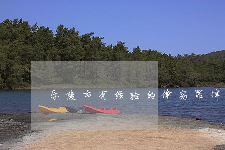 乐陵市有经验的偷窃罪律师 乐陵市有经验的偷窃罪律师