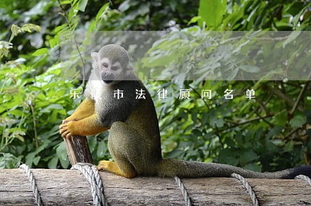 乐陵市法律顾问名单 乐陵市法律顾问名单