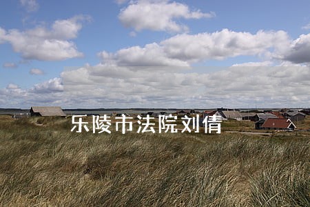 乐陵市法院刘倩 乐陵市法院刘倩