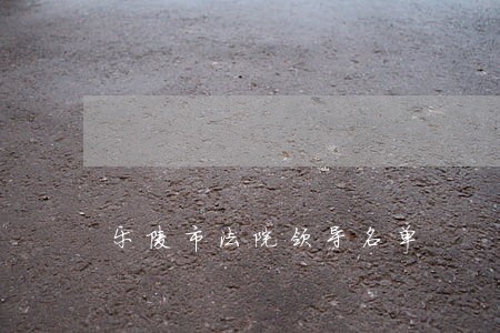 乐陵市法院领导名单