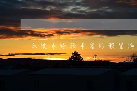 乐陵市经验丰富的假冒伪劣罪律师 乐陵市经验丰富的假冒伪劣罪律师