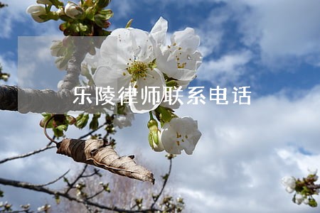 乐陵律师联系电话 乐陵律师联系电话