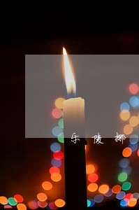 乐陵挪用公款罪律师咨询 乐陵挪用公款罪律师咨询