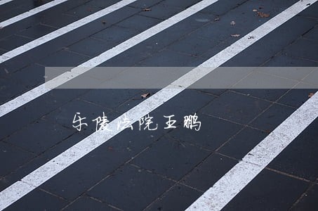 乐陵法院王鹏 乐陵法院王鹏