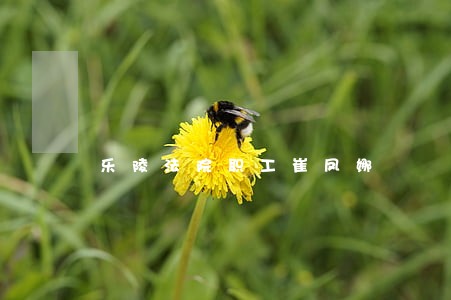 乐陵法院职工崔凤娜 乐陵法院职工崔凤娜