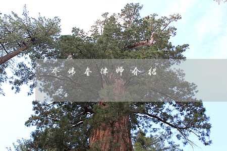 乔伟奎律师介绍