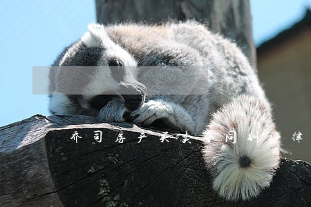 乔司房产买卖合同纠纷律师 乔司房产买卖合同纠纷律师