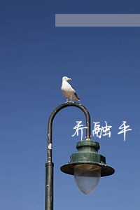 乔融平台逾期两年了不还