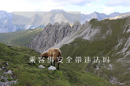 乘客绑安全带违法吗 乘客绑安全带违法吗