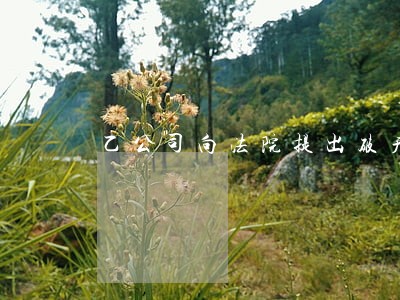乙公司向法院提出破产清算申请 乙公司向法院提出破产清算申请
