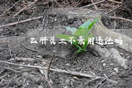乙肝员工不录用违法吗
