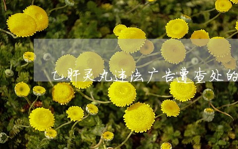 乙肝灵丸违法广告遭查处的评论