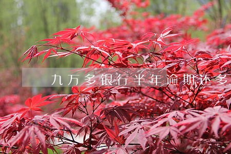 九万多银行半年逾期还多少 九万多银行半年逾期还多少