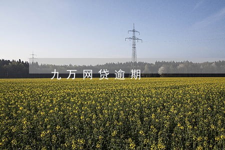 九万网贷逾期 九万网贷逾期