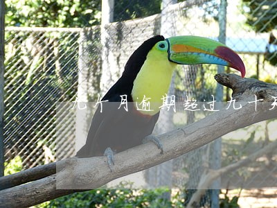 九个月逾期超过九十天 九个月逾期超过九十天
