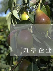 九亭企业律师服务 九亭企业律师服务