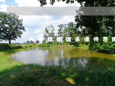 九亭婚姻继承律师费用