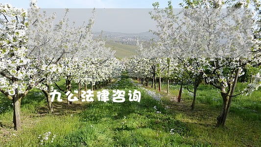 九公法律咨询 九公法律咨询