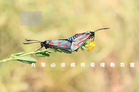 九华山法院共受理各类案 九华山法院共受理各类案