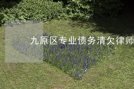 九原区专业债务清欠律师