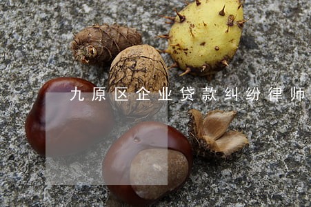 九原区企业贷款纠纷律师 九原区企业贷款纠纷律师