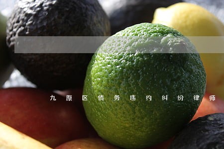 九原区债务违约纠纷律师 九原区债务违约纠纷律师