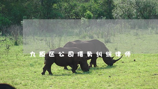 九原区公司债务纠纷律师 九原区公司债务纠纷律师