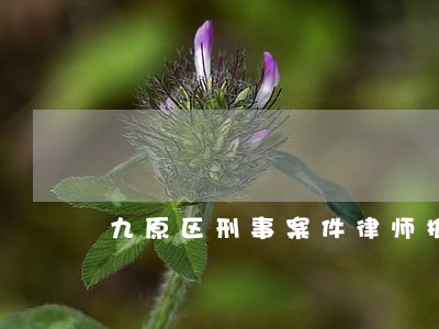 九原区刑事案件律师推荐 九原区刑事案件律师推荐