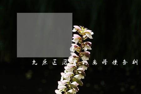 九原区厉害的离婚债务纠纷律师 九原区厉害的离婚债务纠纷律师