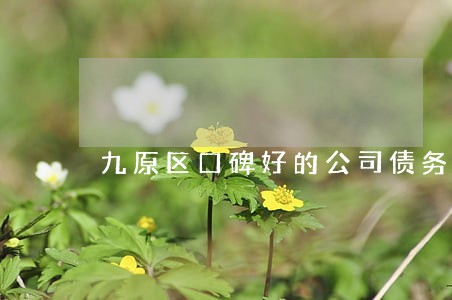 九原区口碑好的公司债务纠纷律师 九原区口碑好的公司债务纠纷律师