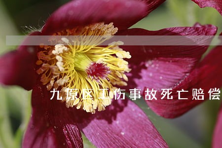 九原区工伤事故死亡赔偿纠纷律师 九原区工伤事故死亡赔偿纠纷律师