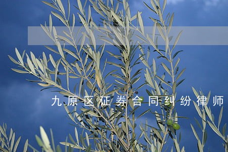 九原区证券合同纠纷律师 九原区证券合同纠纷律师
