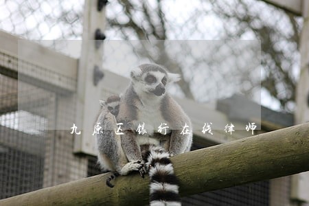 九原区银行在线律师