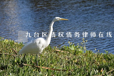 九台区债权债务律师在线咨询 九台区债权债务律师在线咨询