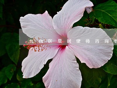 九台区票据律师咨询电话 九台区票据律师咨询电话
