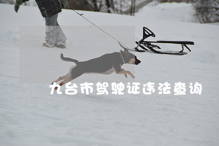 九台市驾驶证违法查询